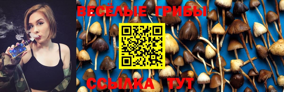 Галлюциногенные грибы Cubensis  Вход с VPN  Казань 